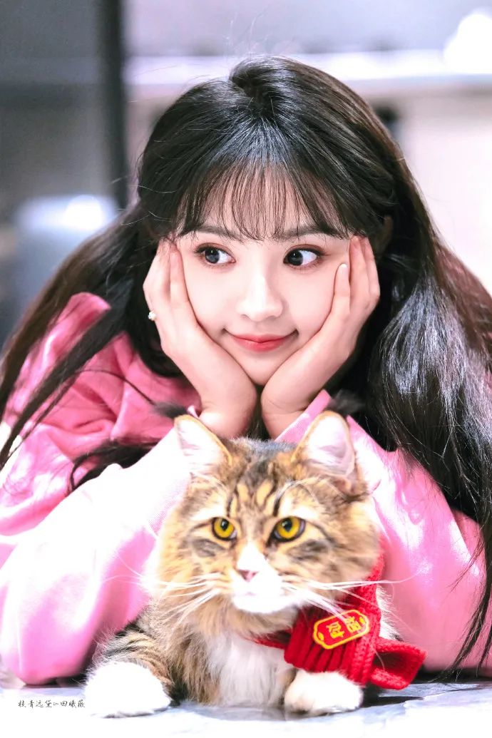 杨超越