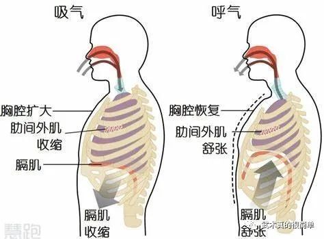 直接指挥身, img